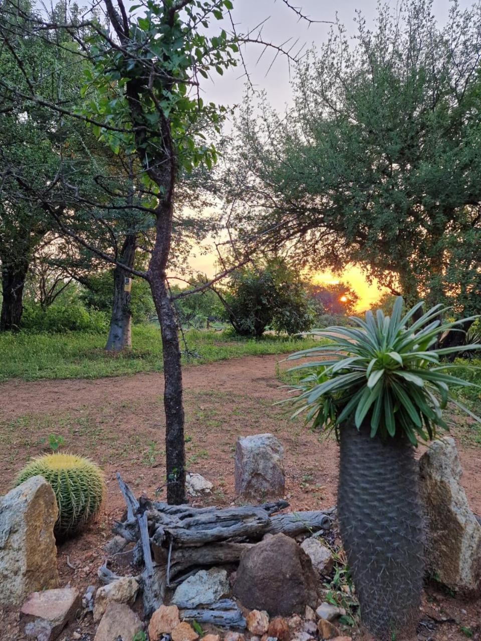 Masorini Bush Lodge & Safari Tents Phalaborwa Exterior photo